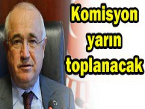 Anayasa komisyonu yarın toplanıyor