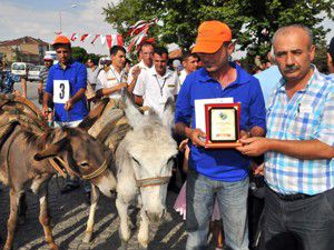 Akşehirde eşek yarışı yapıldı