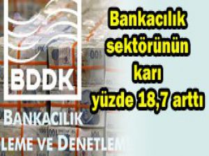 Bankacılıkta kar oranı yüzde 18,7 arttı