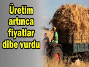 Saman fiyatlarında büyük düşüş