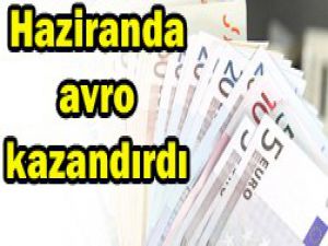 Avro yatırımcısını güldürdü