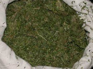 Konyada 19 kilogram esrar ele geçirildi