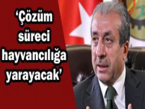 "Et fiyatları üzerindeki baskı azalacak"