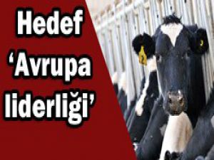 Avrupa liderliğine "göz koyduk"