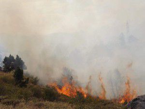 Seydişehirde 5 hektarlık orman yangında zarar gördü