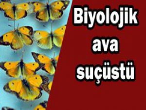 Yabancılar biyolojik avda yakalandı