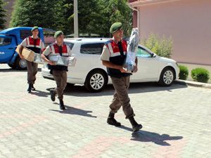 162 adet yasa dışı av tüfeği ele geçirildi