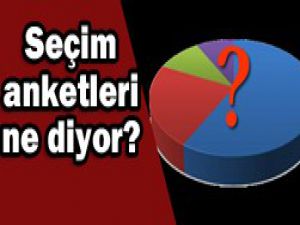 İşte son seçim anketi!