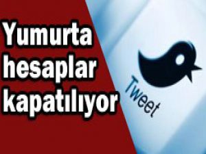 Twitter büyük operasyon başlattı!