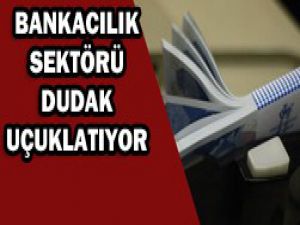 Bankacılık 157 ülkeden daha büyük