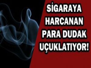 200 milyar lira "duman" oldu