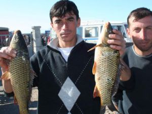 Kurban balıkçılara yaramadı
