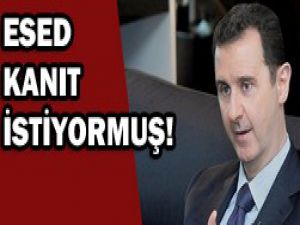 Diktatör kimyasal için kanıt istiyor