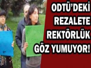 Rezalete göz yumuyorlar!