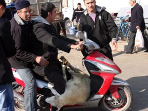 Şimdi de motorlu kurban