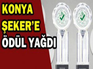 Hedef dünya markası olmak