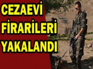 Güler: Başarılı bir operasyon