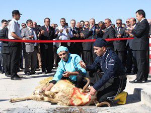 Konya ve Çumra Şekerde pancar alımı başladı