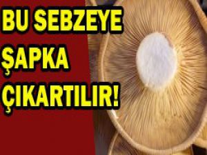 Sonbahar da mantar!