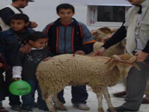 1 milyon 250 bin kişi kurbanla sevindi