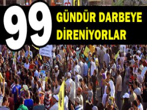 Gün gün analiz