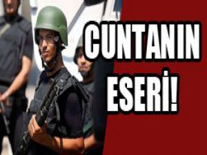 Sayıları 15 bini geçti!