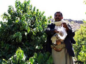 Kahve yeniden Yemenden gelecek