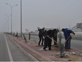 Cihanbeylide refüj çalışmalarında sona gelindi