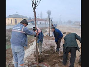 Karatay da ağaçlandırma çalışmaları sürüyor