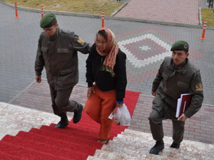 Hollandalı kadın gezmek için aracı çalmış