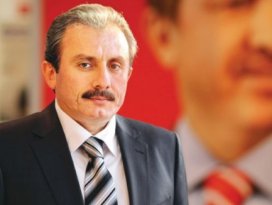 Operasyonun amacı vesayetin devamı