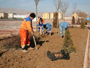 Selçuklu bu baharı lalelerle karşılayacak