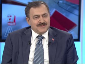 Bakan Eroğlundan 2015 için müjde