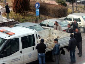 Beyşehirde sokak köpekleri ile mücadele