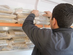 TMOdan vatandaşa ucuz pirinç desteği