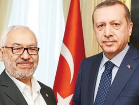Tunus modeli