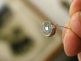 Böcek soruşturmasında 4 kişi ifade verdi
