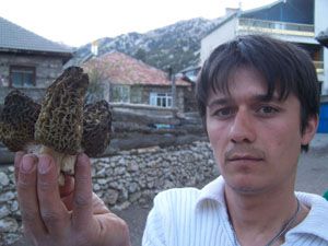 Beyşehir, mantar zengini