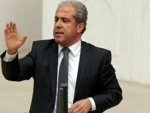 Şamil Tayyar: Gerizekalı olmak gerekir