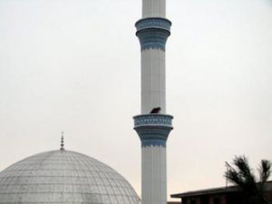 Arkadaşının öldüğünün Salasının verdirdi