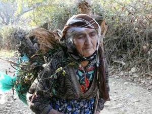 Ekonomik krizin orman işçiliğine etkisi