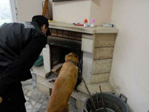 Konya da narkotik köpeği ile ev araması