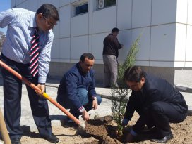 Beyşehir’de ağaç dikme etkinliği