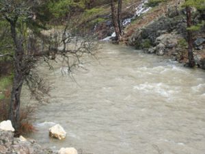 Konyada dereler coştu bir kere