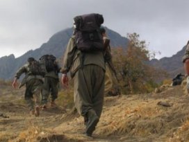 Hakkaride bir terörist teslim oldu