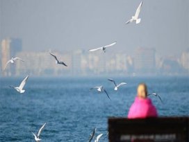 Sıcak havalar geliyor!