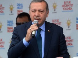 TDK Başbakan Erdoğana hak verdi
