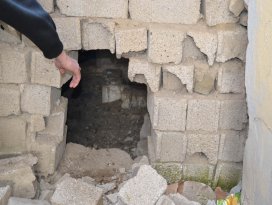 Duvarı delip tavukları çaldılar