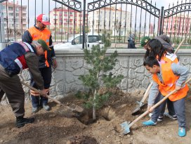 Jandarma’dan her şehit için bir fidan