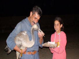Yaralı kuş tedavi altına alındı